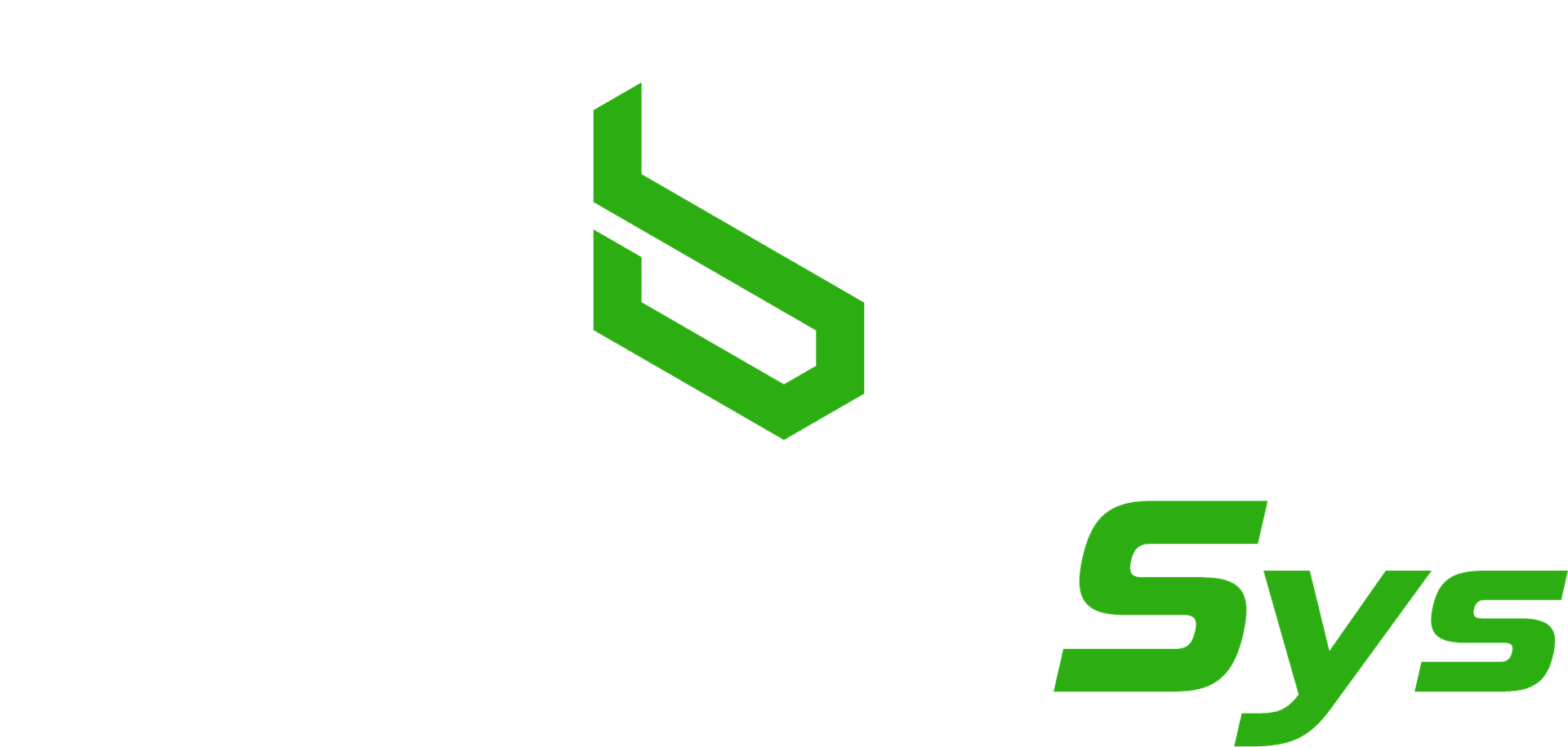 braineesys